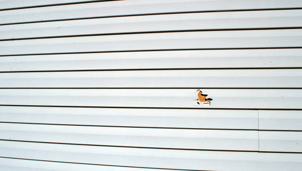 Best Residential Vinyl Siding Installation  in Glen Alpine, NC